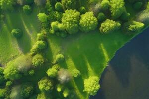 aereo Visualizza di verde campo. ai generativo foto