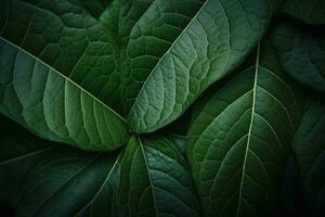verde le foglie sfondo. ai generativo foto