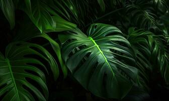 Monstera foglia sfondo. tropicale fogliame sfondo. naturale strutturato. per cartolina, libro illustrazione. creato con generativo ai utensili foto