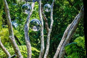 una passeggiata attraverso i giardini botanici del parco pukekura. nuova plymouth, taranaki, nuova zelanda foto