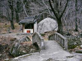 vecchio ponte sotto un torrente nella foresta del parco nazionale di seoraksan. Corea del Sud foto