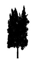 silhouette albero spazzola design su bianca sfondo, illustrazioni spazzola spazzola a partire dal vero albero con ritaglio sentiero e alfa canale foto