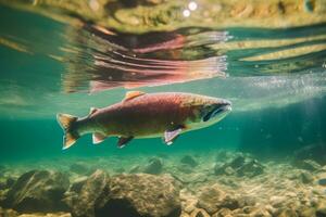 salmone nel natura, nazionale geografia, largo vita animali. ai generato. foto