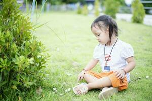 un' carino asiatico poco ragazza si siede su il erba nel il parco. foto