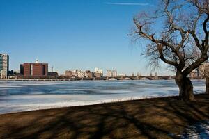 boston, mamma, Stati Uniti d'America gennaio 10 2010 il congelato charles fiume nel inverno tempo quello separa boston a partire dal Cambridge, mamma foto