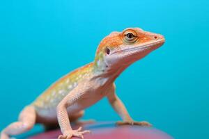 molto carino anole nel natura, nazionale geografia, largo vita animali. ai generato. foto