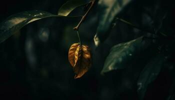 il vivace autunno le foglie riflettere il bellezza di natura crescita generato di ai foto