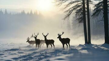 bellissimo freddo mattina inverno neve sfondo con alberi foresta e montagna nel il sfondo, delicatamente neve Visualizza contro il blu cielo, gratuito spazio per il tuo decorazione foto