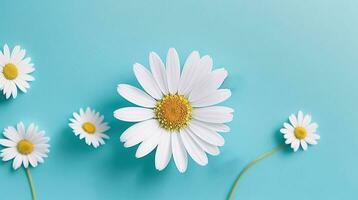 margherita fiori con leggero blu carta sfondo bene per multimedia digitale soddisfare creazione foto