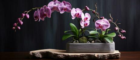 rosa orchidea fiori su buio sfondo foto