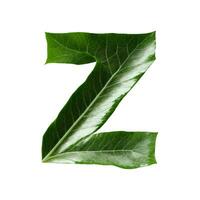verde foglia tipografia testo design minuscolo alfabeto z, ai generativo foto