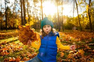 concetto di un' contento spensierato infanzia. bambini all'aperto. divertente adorabile poco ragazza raccoglie asciutto caduto acero le foglie giocando tra giallo le foglie nel un autunno parco con caduta sole raggi a tramonto foto