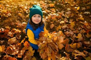 superiore Visualizza di adorabile bellissimo poco bambino ragazza con mazzo di raccolto giallo asciutto acero foglie, carino sorridente guardare a telecamera seduta tra caduto le foglie nel autunno natura sfondo a tramonto foto