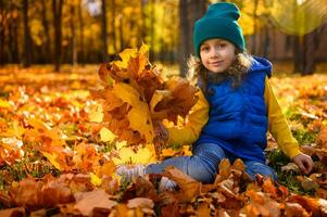 bella poco ragazza con raccolto autunnale acero le foglie mazzo carino sorrisi guardare a telecamera seduta tra d'oro caduto le foglie su il autunno natura sfondo con sole raggi caduta su foresta parco foto