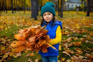 bellissimo bambino ragazza con raccolto autunnale acero le foglie mazzo carino sorrisi guardare a telecamera in piedi tra d'oro caduto le foglie su un autunno natura sfondo con sole raggi caduta su foresta parco foto