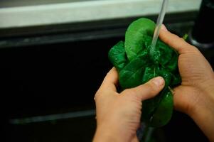 avvicinamento di mani lavaggio verde spinaci le foglie con rubinetto acqua foto