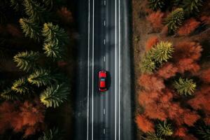 un' auto guida giù un' autostrada attraverso alto alberi foto