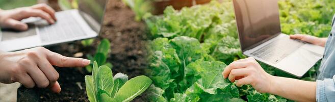 asiatico donna contadino utilizzando digitale tavoletta nel verdura giardino a serra, attività commerciale agricoltura tecnologia concetto, qualità inteligente contadino. foto