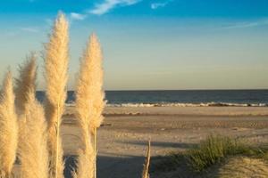 spiaggia estiva senza persone foto