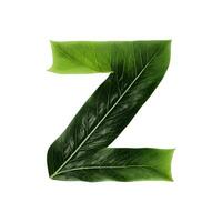 verde foglia tipografia testo design minuscolo alfabeto z, ai generativo foto
