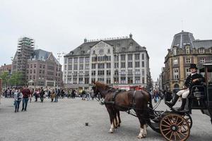 la bella amsterdam a giugno foto