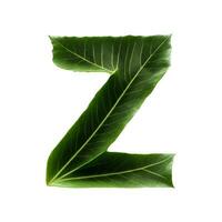 verde foglia tipografia testo design maiuscolo alfabeto z, ai generativo foto