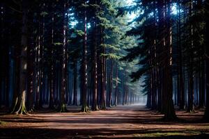 realistico foto paesaggio di crepuscolo nel un' città parco foresta con nebbioso mistero, ai generativo