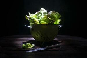 presentazione di verde insalata foto