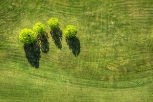 golf campo Visualizza a partire dal sopra foto