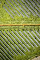 serie di fotovoltaico pannelli foto