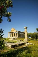 il antico rovine di paestum foto