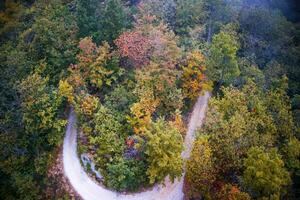 autunno sopra il foresta foto