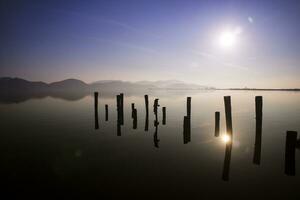 lago massaciuccoli nel versilia foto