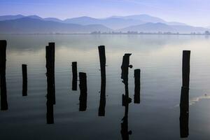 lago massaciuccoli nel versilia foto