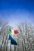 italiano e europeo bandiere foto