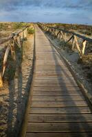 passerella principale per il mare nel il naturale parco di viareggio Italia foto