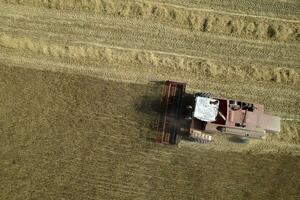 il opera di un' Grano mietitore nel il estate foto