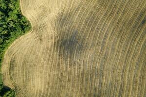 aereo Visualizza di il forma di il i campi Toscana Italia foto