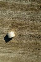 aereo Visualizza di un' il giro balla campo nel mezza estate foto