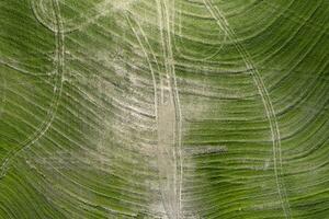 disegni sinistra dietro a dopo Lavorando il terra nel Toscana Italia foto