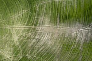 disegni sinistra dietro a dopo Lavorando il terra nel Toscana Italia foto