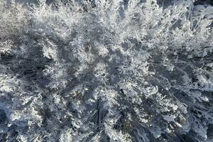 completamente innevato foresta prese a partire dal sopra foto