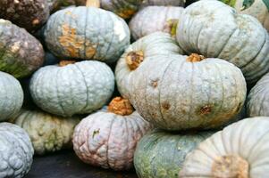 un' vicino su di un' zucca con un' grande arancia centro foto