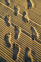 Impronte nella sabbia foto