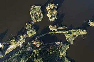 aereo Visualizza di il dettagli di lago massaciuccoli foto