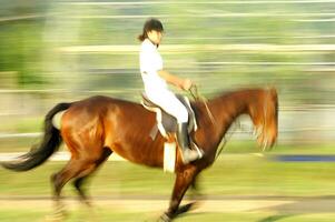 un' persona equitazione un' cavallo foto