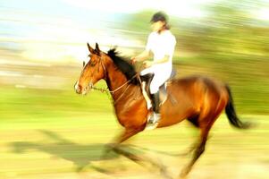 un' persona equitazione un' cavallo foto