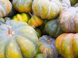 un' mucchio di zucche con verde e arancia colori foto