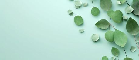 un' composizione di naturale eucalipto le foglie con acqua gocce su un' menta pastello verde sfondo. foto