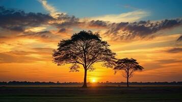 rurale Tailandia S sera fondale con sbalorditivo tramonto cielo albero silhouette foto